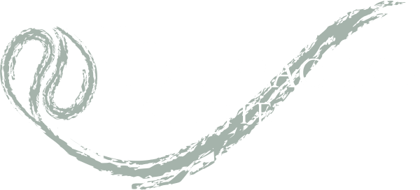 The Next Practice Institute