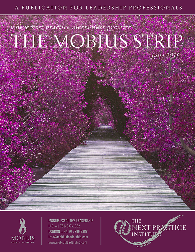 The Mobius Strip – Next Practice Institute Summer 2016